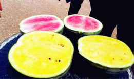 吃瓜爆料音乐有哪些,吃瓜爆料音乐背后的故事